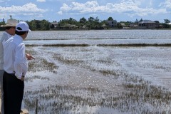 004_Viengtham_Lulut_17062025