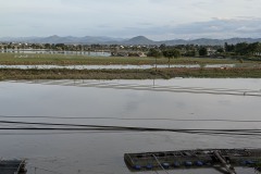 008_Viengtham_Lulut_17062025