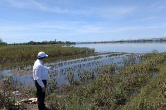 013_Viengtham_Lulut_17062025