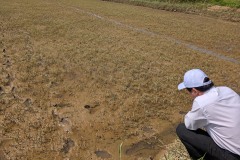 016_Viengtham_Lulut_17062025