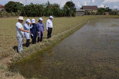 018_Viengtham_Lulut_17062025